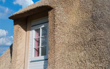 Tomthorn thatch roof disadvantages